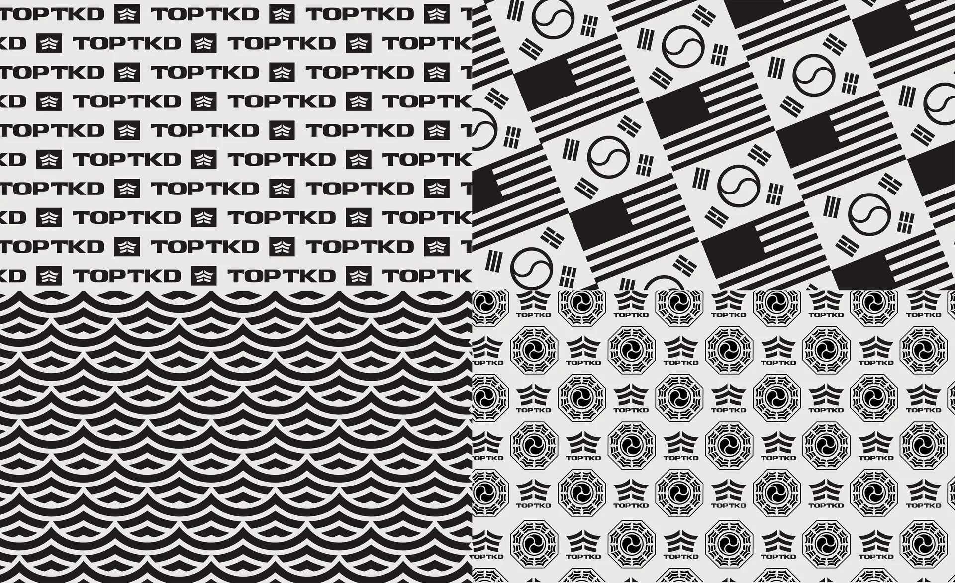 TOPTKD project image 5